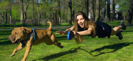 Adelaide K9 Services
