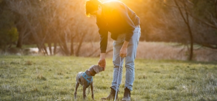 Puppy Matters Co