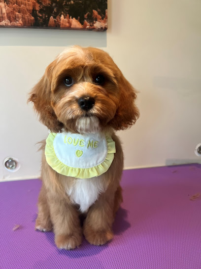 Salon de Woof