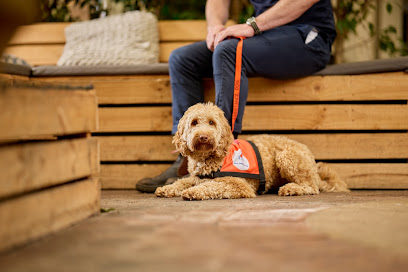 Lions Assistance Dogs