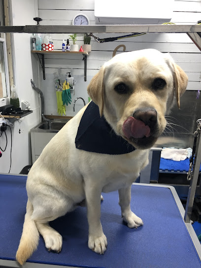Dog Groom Room