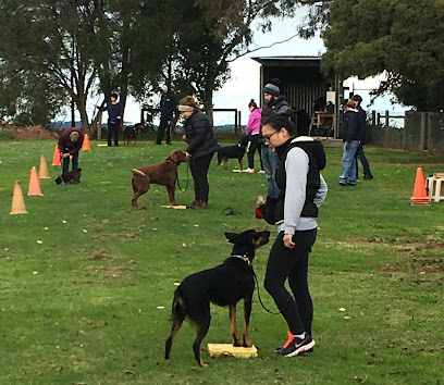 Pro-K9