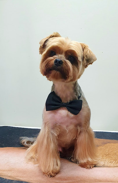 Woof ‘n’ Sparkle