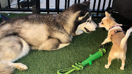 Inspire Me Dog Training