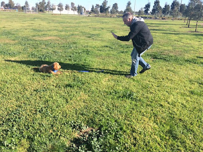 Zenergy K9 Training Co
