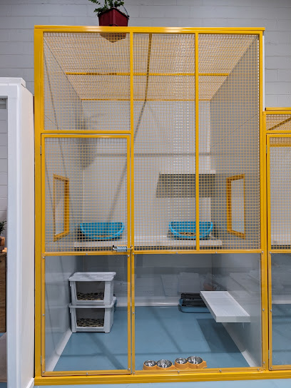 Meowhaus Cattery