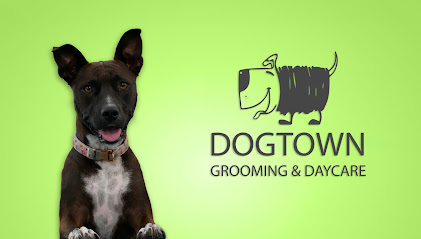 DogTown Grooming & Day Care