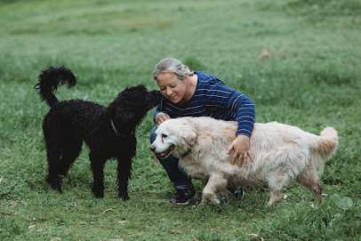 Mundy Dogs