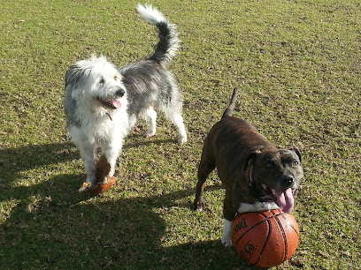 Outpaws Homebased Pet Boarding