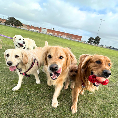 Loose Lead Pets Pty Ltd