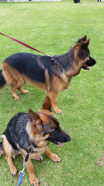 Noarlunga City Obedience Dog Club