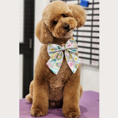 Diamonds in the Ruff Groomery & Doggy Daycare – Mornington