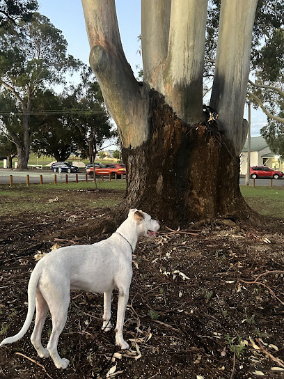 Allbreeds Dog Training, K9 Bootcamp & Pet Retreat