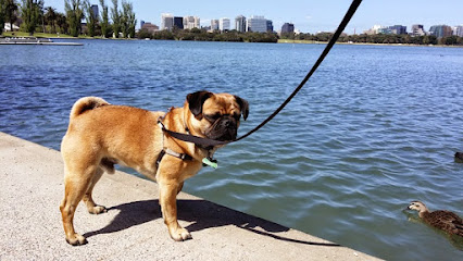 Dog Walking + Minding