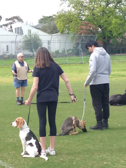 Dobermann & Dog Obedience Club Ltd