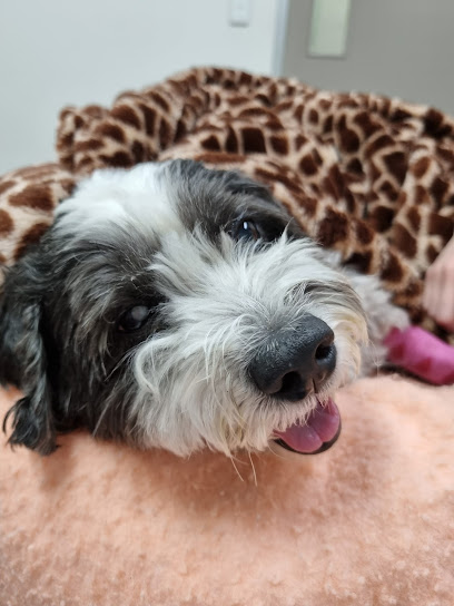 Greencross Vets Joondalup