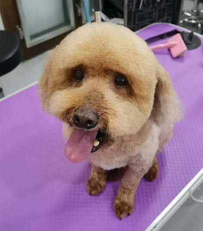 Sandy Paws Pet Care