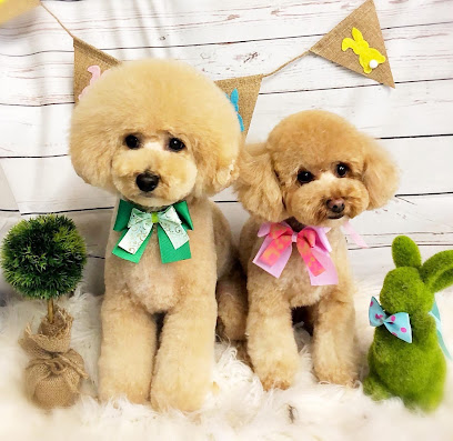 M Dog Grooming Salon