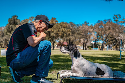 Results Dog Training