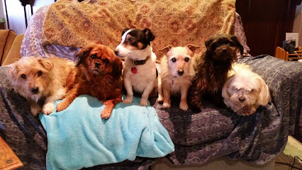 Waggs Bed & Breakfast and Home Visit Service