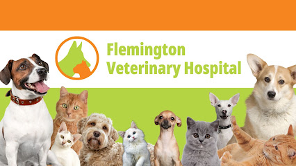 Flemington Veterinary Hospital
