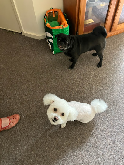 Pawfect Me Pet Grooming