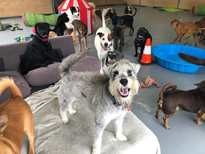 4 Canines Daycare & Grooming