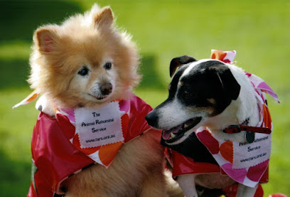 The Animal Rehoming Service Inc.