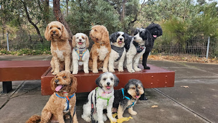 Perth Pet Palace & Pooch Walking