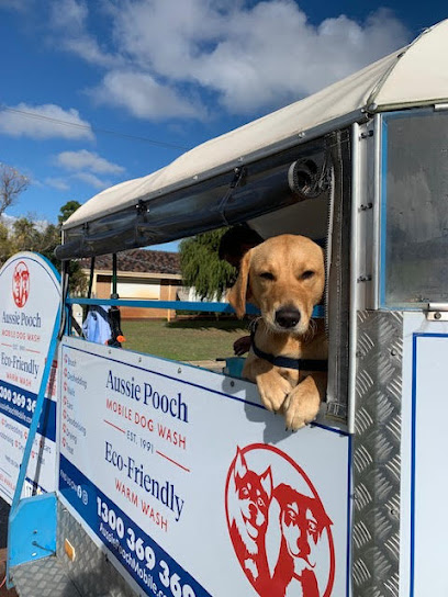 Aussie Pooch Mobile Dog Wash & Grooming Quinns Rock