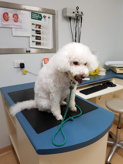 Greencross Vets North Ringwood