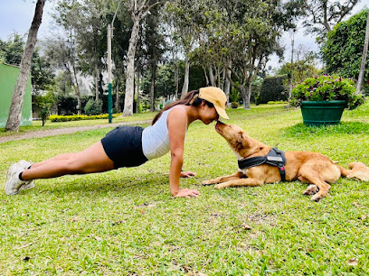 Dog Walks with Maria – St Kilda