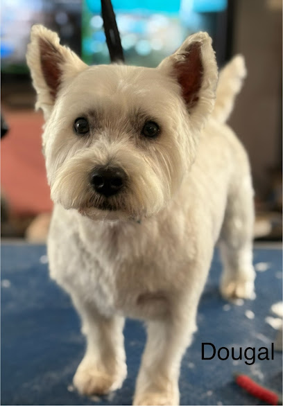 Peninsula Pet Clips