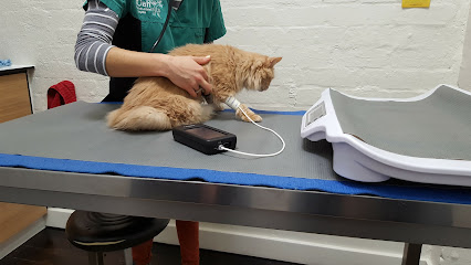 Northcote Animal Hospital (nOah)