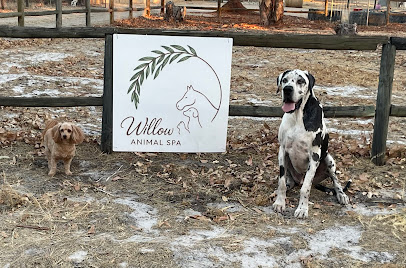 Willow Animal Spa