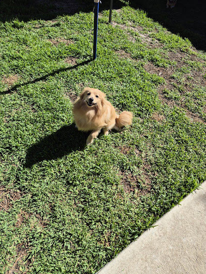 Paws About Boarding Kennels