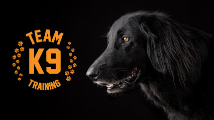 Team K9 Dog Training School
