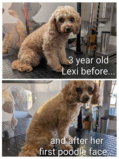 Cuddle Buddies Dog Grooming (Kalkallo)
