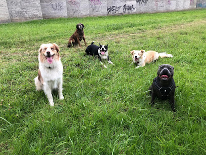 Barkanine Training