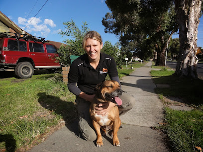 VICDOG – Dog Training & Behaviour Specialists