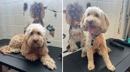 Doggy Styles Grooming Studio