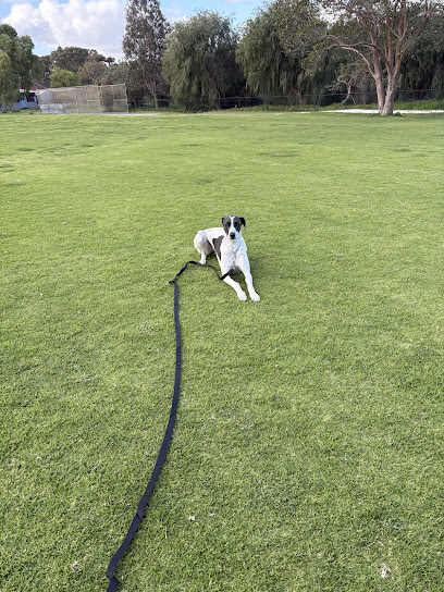 Alert Dog Training