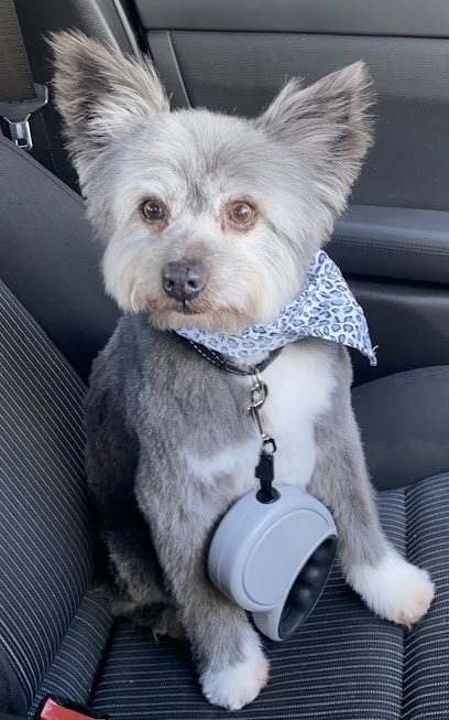 Northern Dog Grooming – Craigieburn