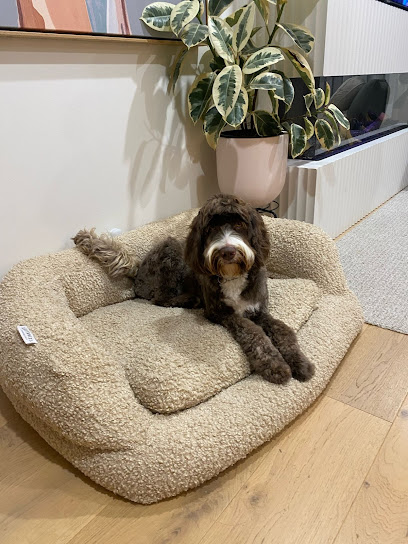 Pets Journey Grooming Salon