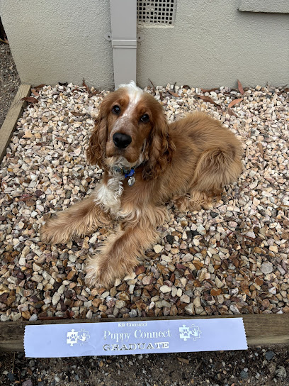K9 Connect