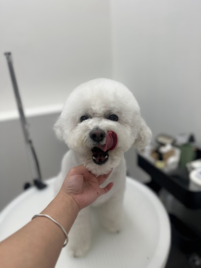 Fluff De Paws Pet Grooming Studio