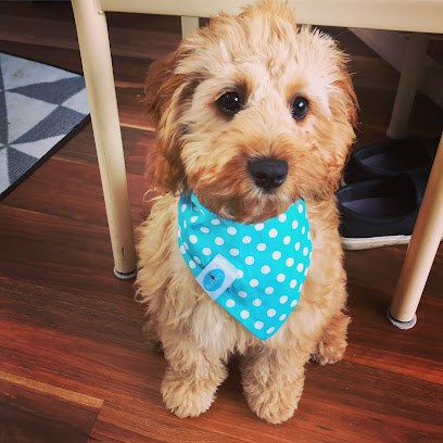 Coburg Dog Grooming