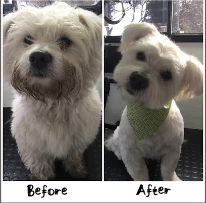 Perfect Paws Dog Grooming