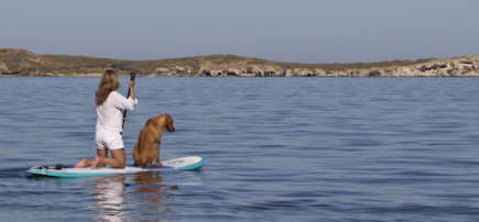 Dog Charming