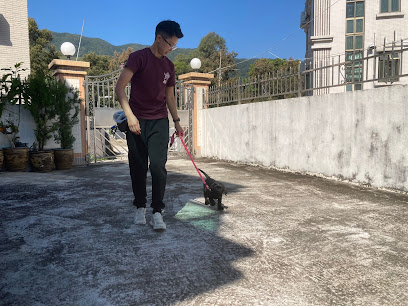 Pawsitive Bonds